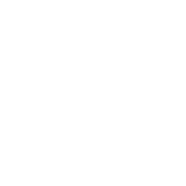 Samsic